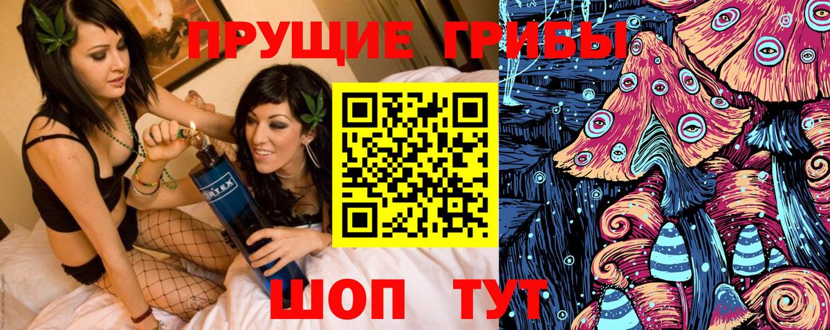 Галлюциногенные грибы прущие грибы Киреевск